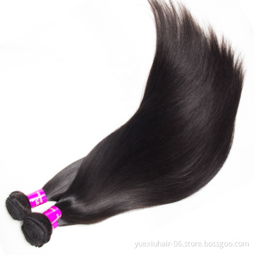 Mink Brazilian Straight Hair Bundles 100% Virgin Human Hair Extension Cuticle Aligned Raw Virgin Hair 1 piece